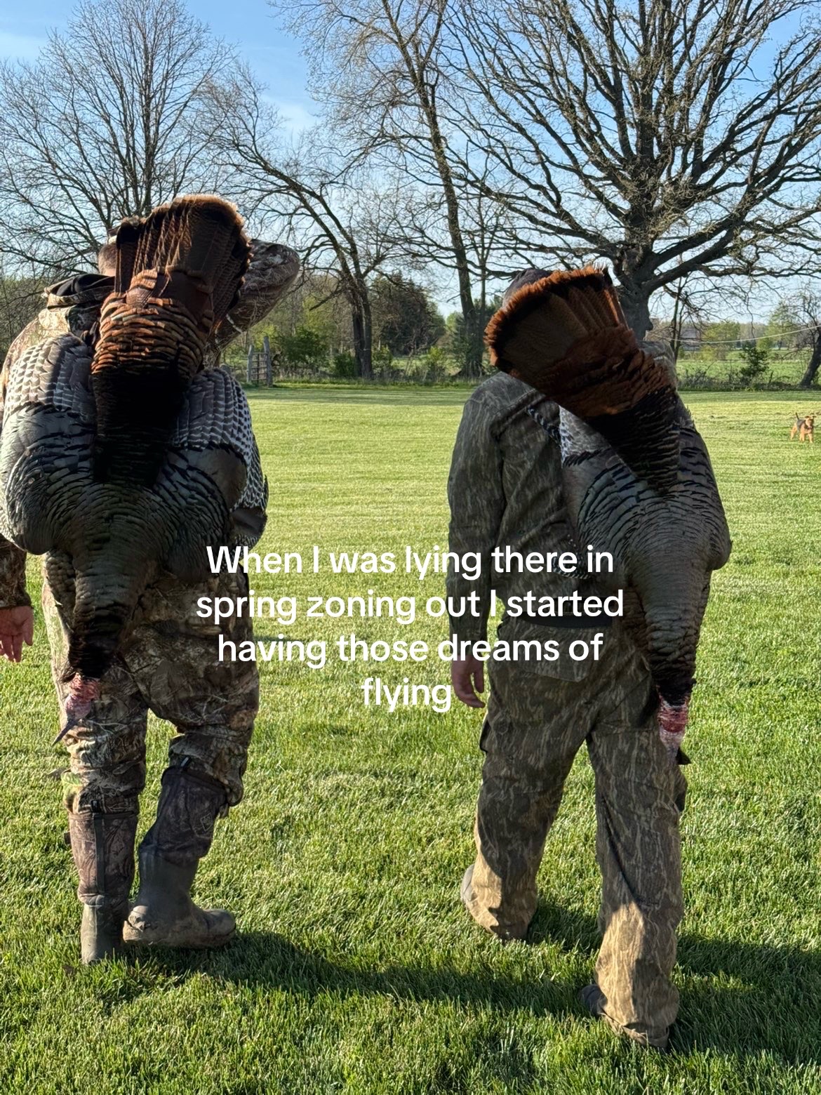 @KB 🦆🦌