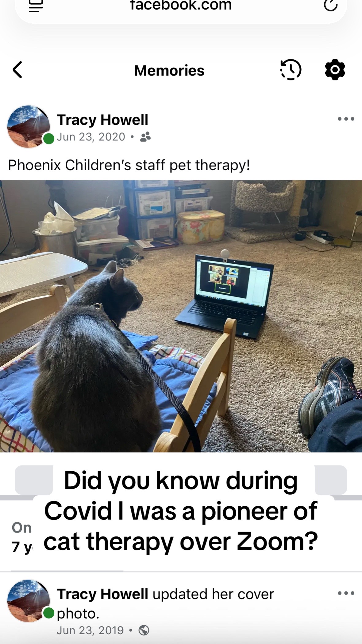 @Therapy Cat Roger & Family