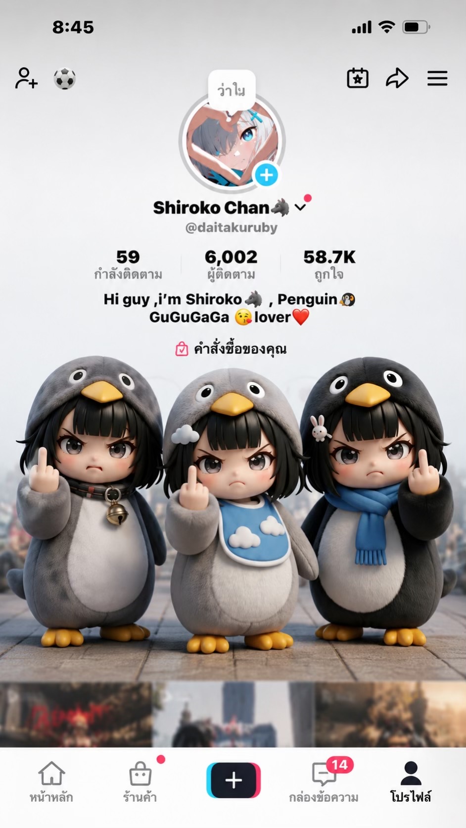 @🐺シロコ🎖️Shiroko🌊