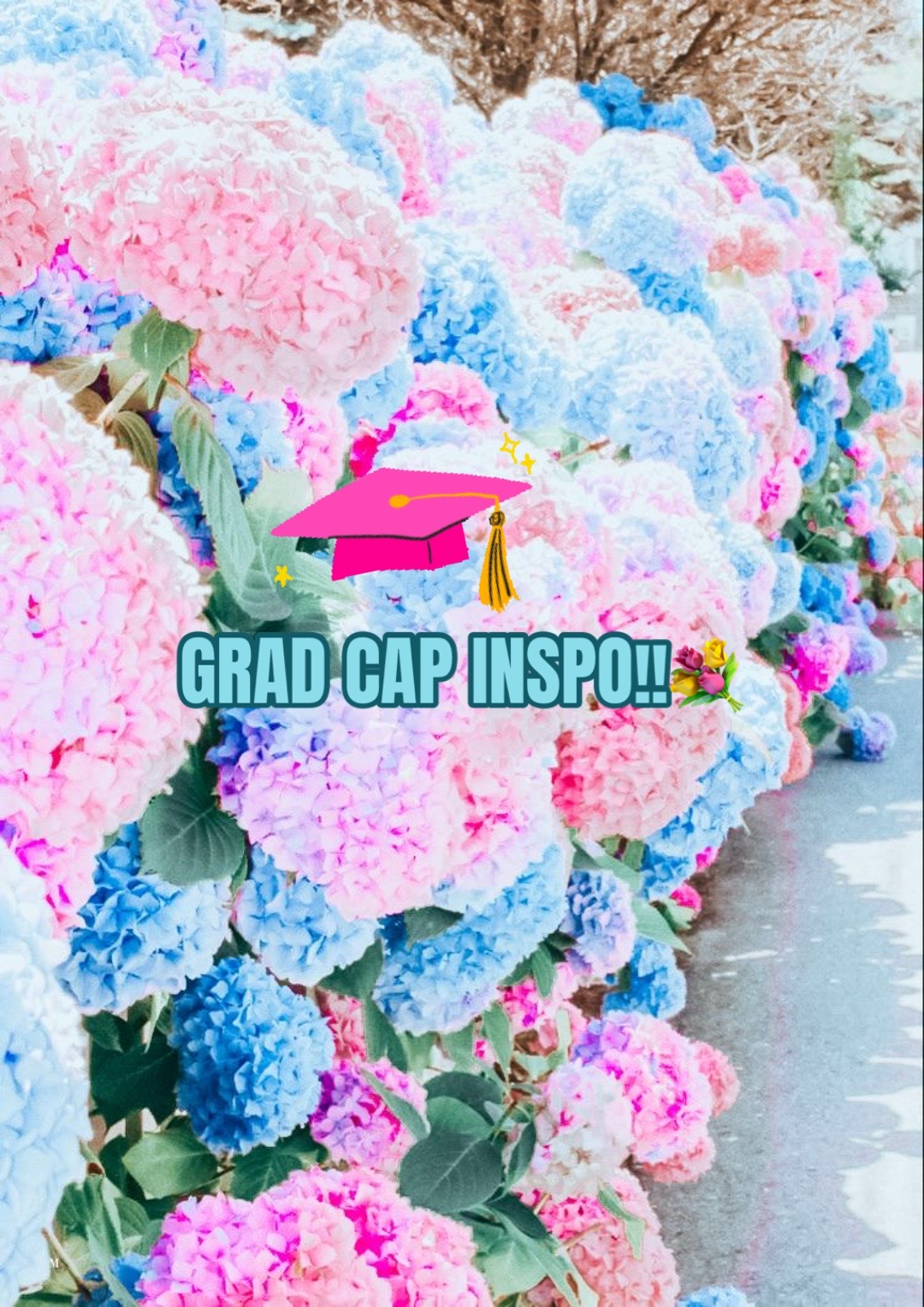 @&zwj; ❀