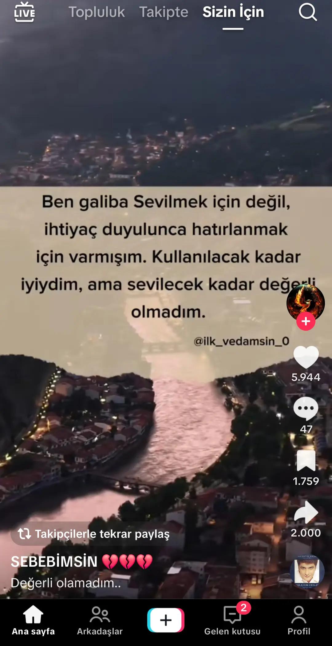 @mustafaelif