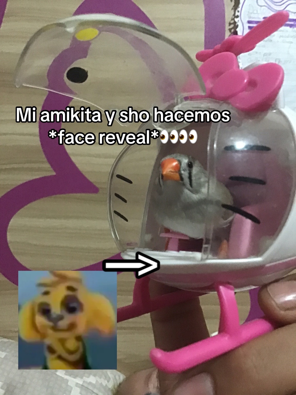 @🐠Pezesito🐠