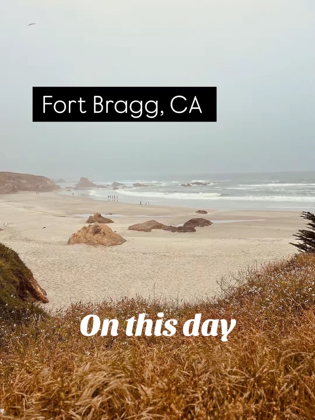@sam2227894