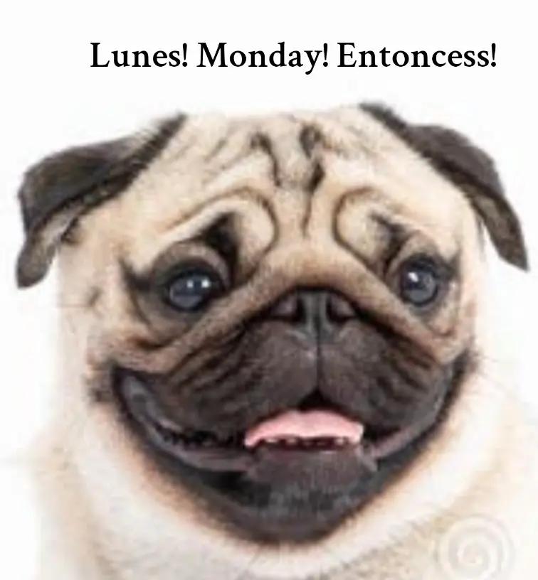 @MASCOTA@ARRIBA!
