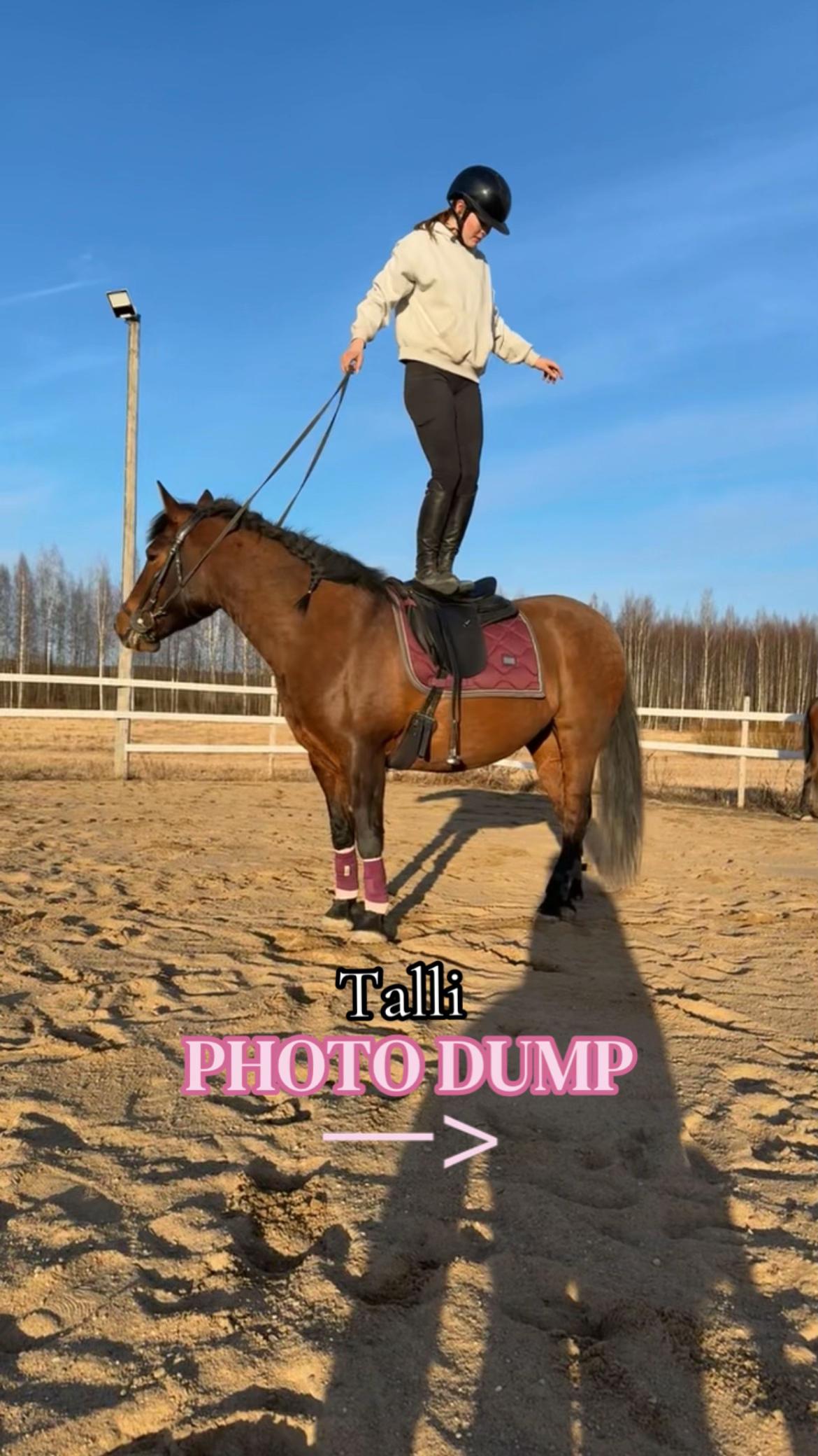 @Equestrian Veera🏇