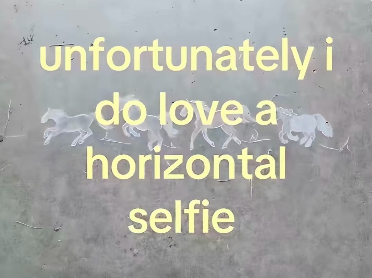 @suya dulal