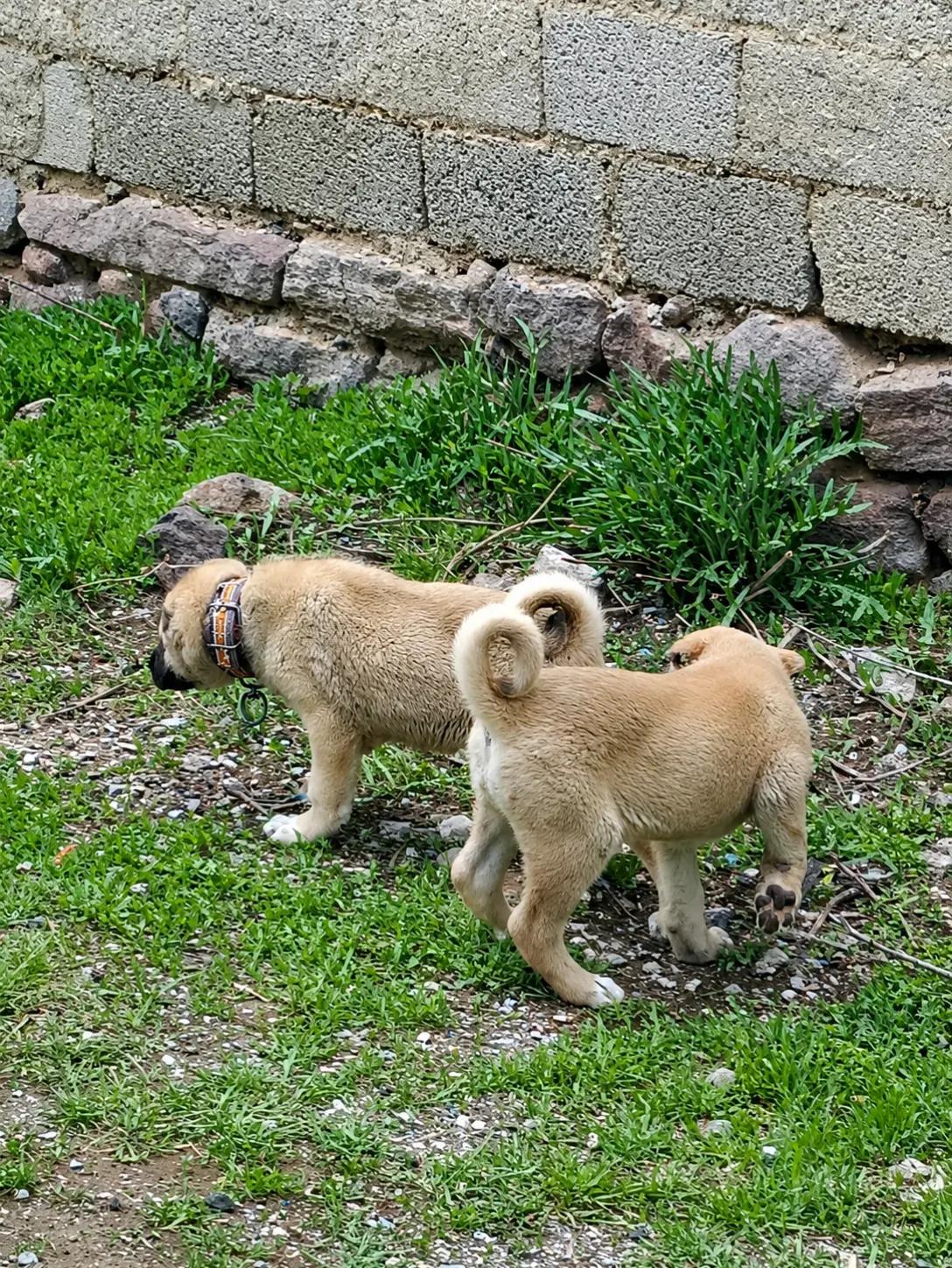 @Yusuf saldık