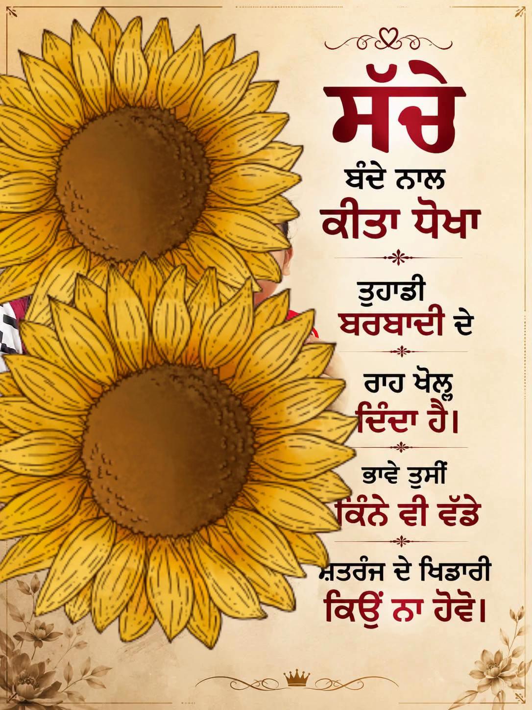 @Nitu❤️🧿🧿❤️