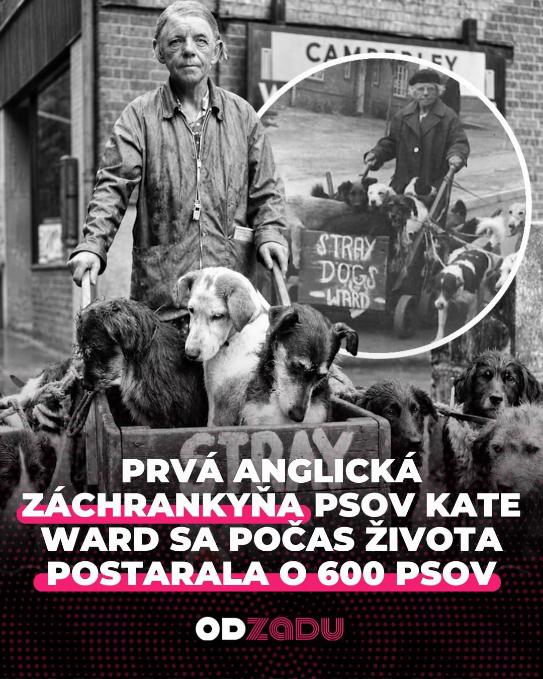 @Odzadu.sk