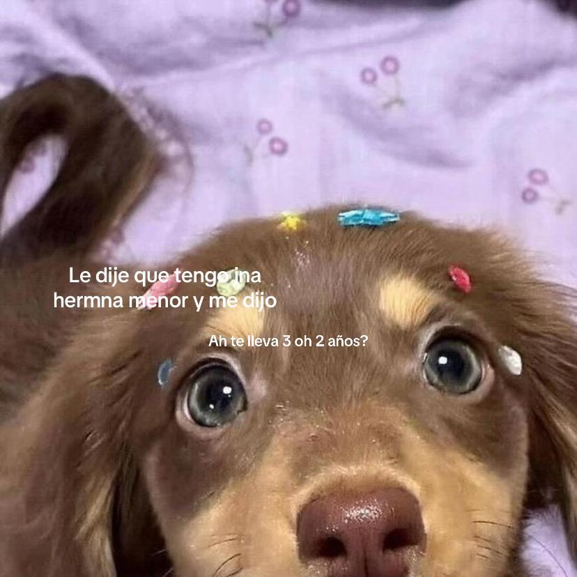 @Olladefrijolesconpapa🫰🏿💜