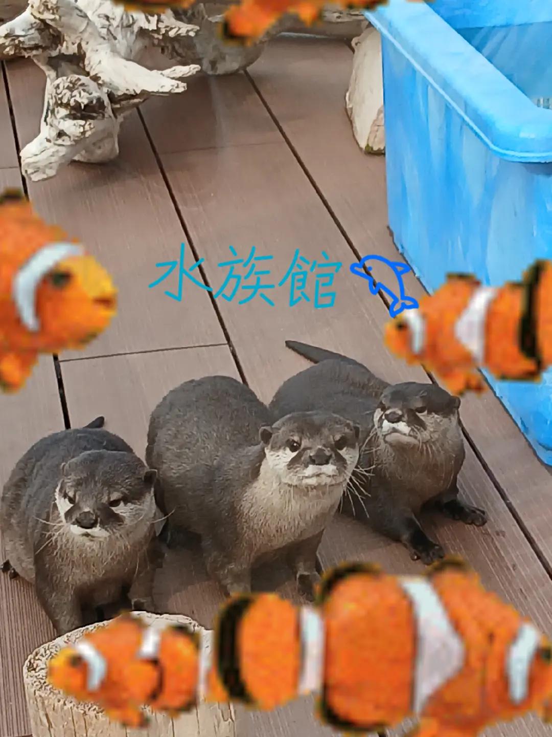 @klkl๐บ๐๐๐ .โ