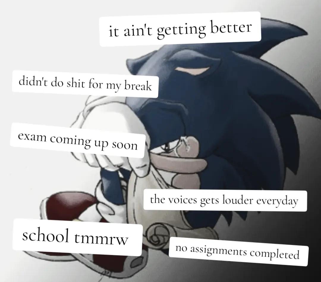 @sonicadvance2fan