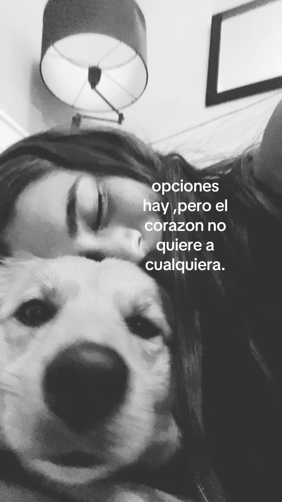 @micaac