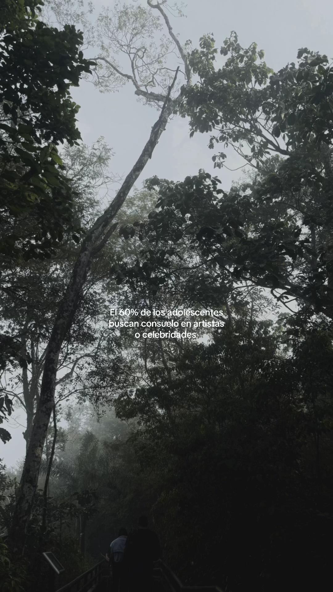 @𝜗𝜚˚