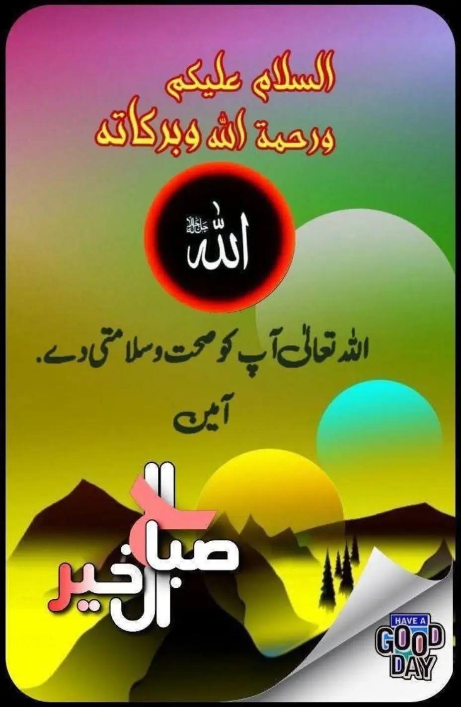 @M Nazir