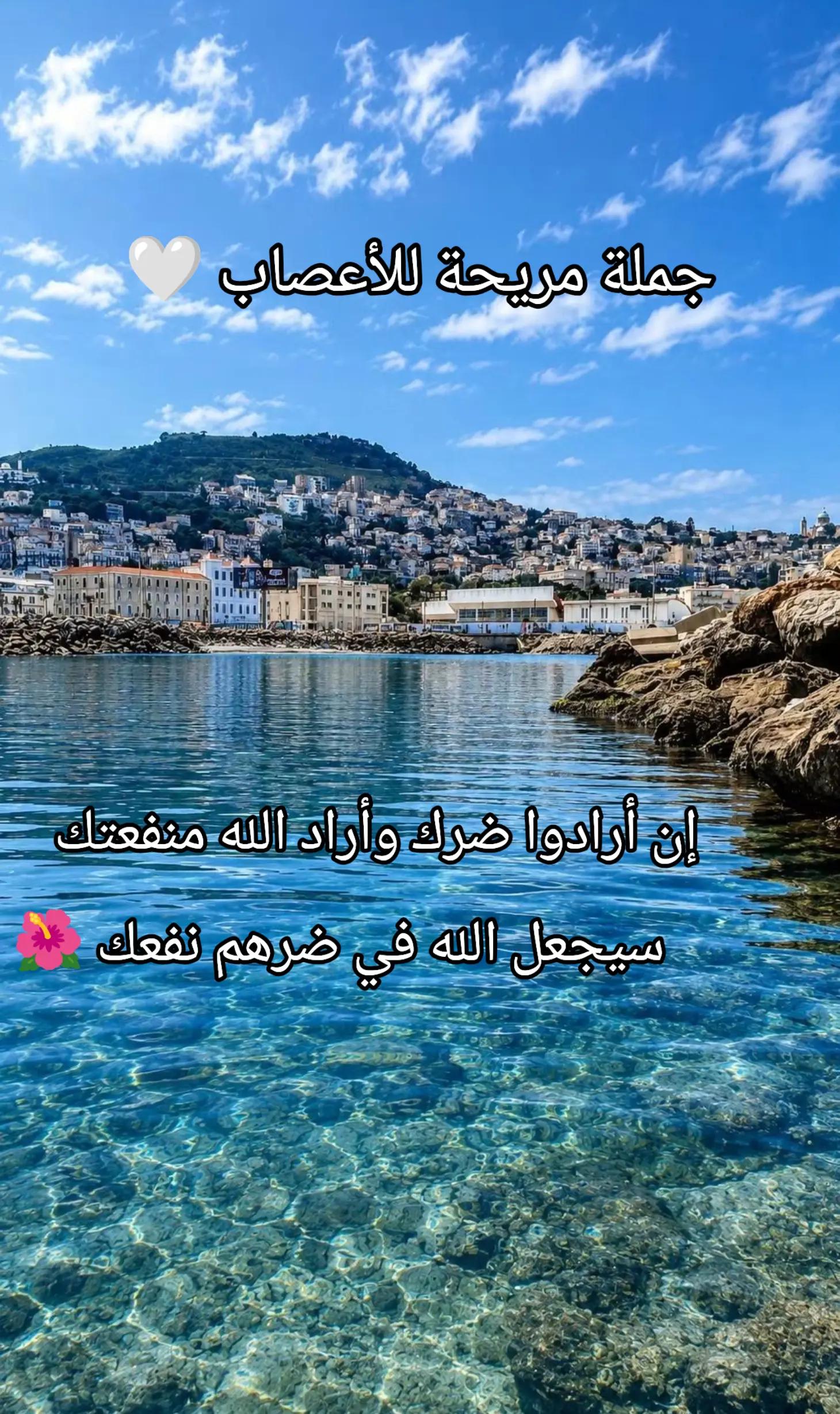 @🌹 خَلَفْ لِخَيْرِ سلَفْ 🌸📚