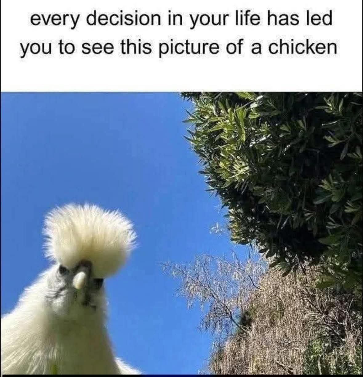 @Hrh Tater Salid