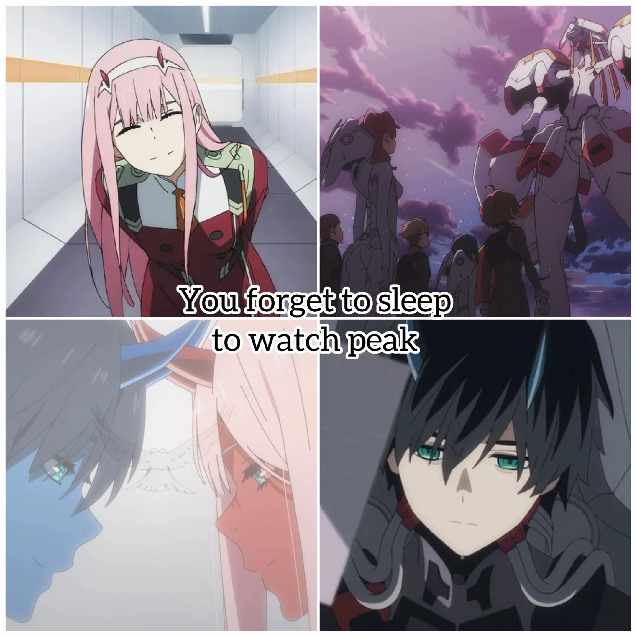 @shawkanime