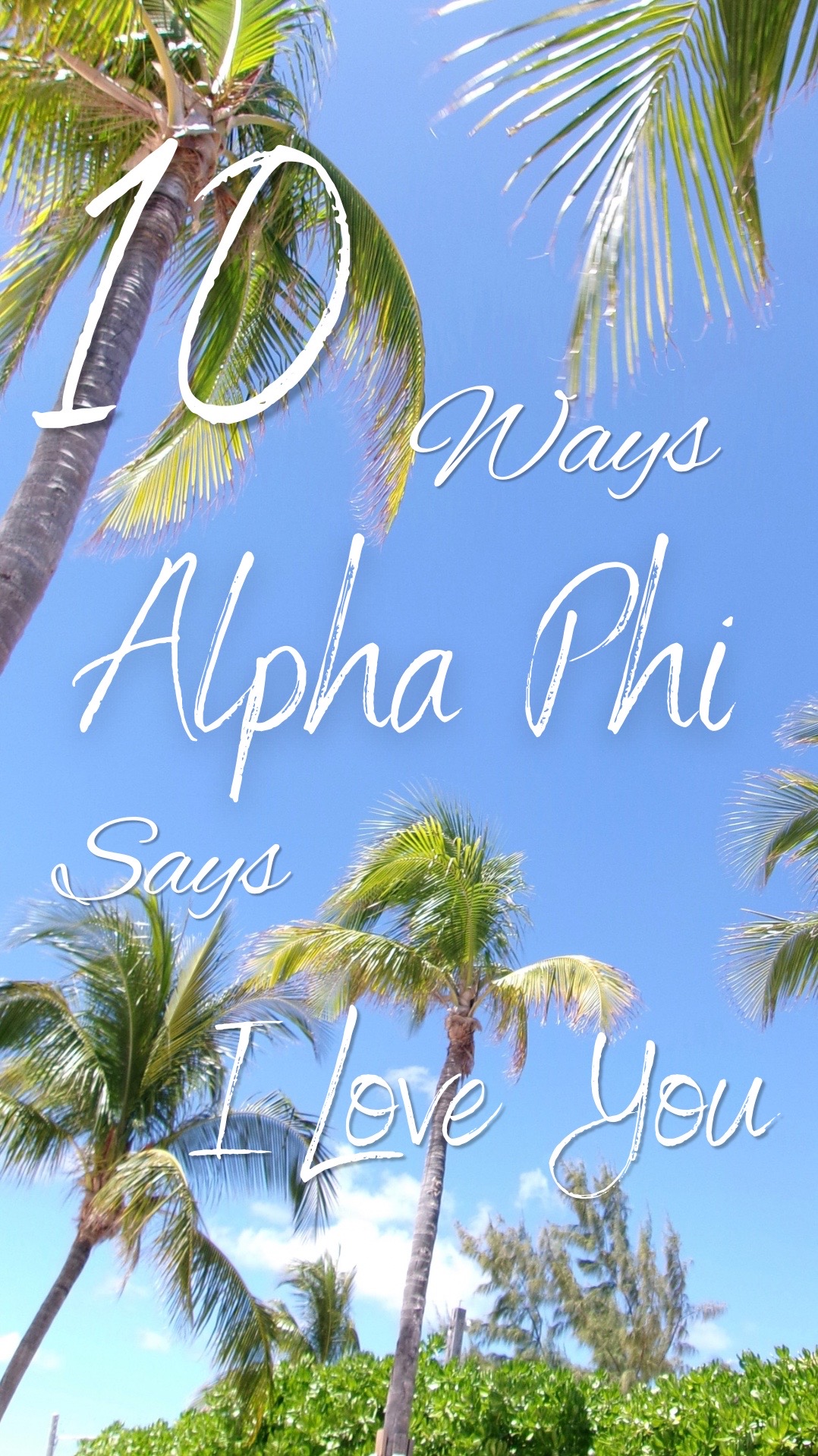 @GMU ALPHA PHI 🤍