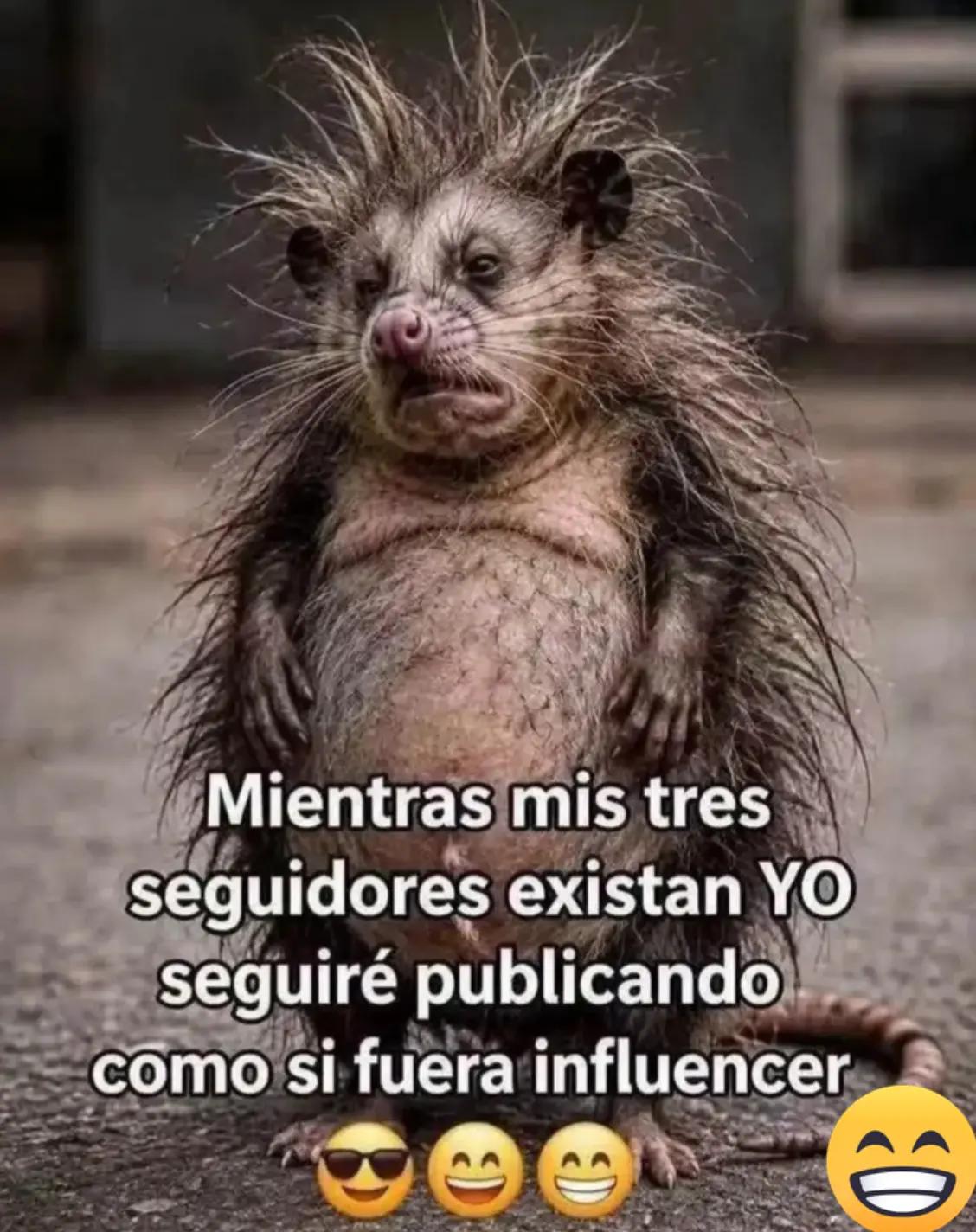 @Brenda marchan
