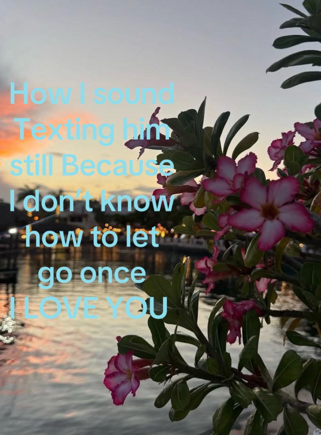 @Editzzzz6773