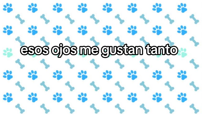 @¡♥︎! MENMA