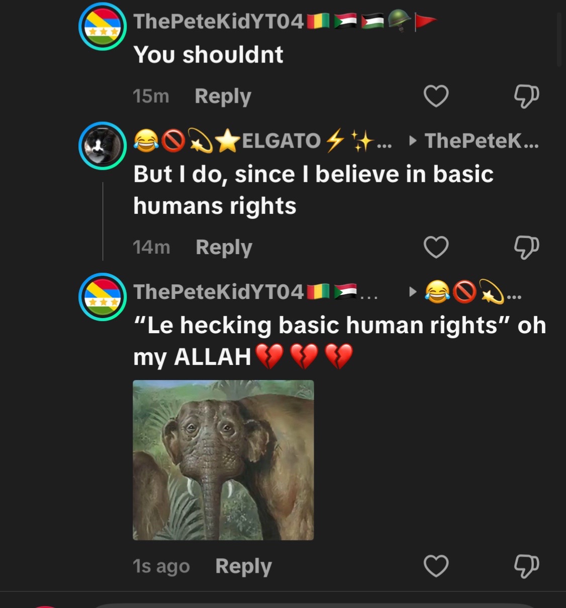@ThePeteKidYT04🇬🇳🇸🇩🇵🇸🪖🚩