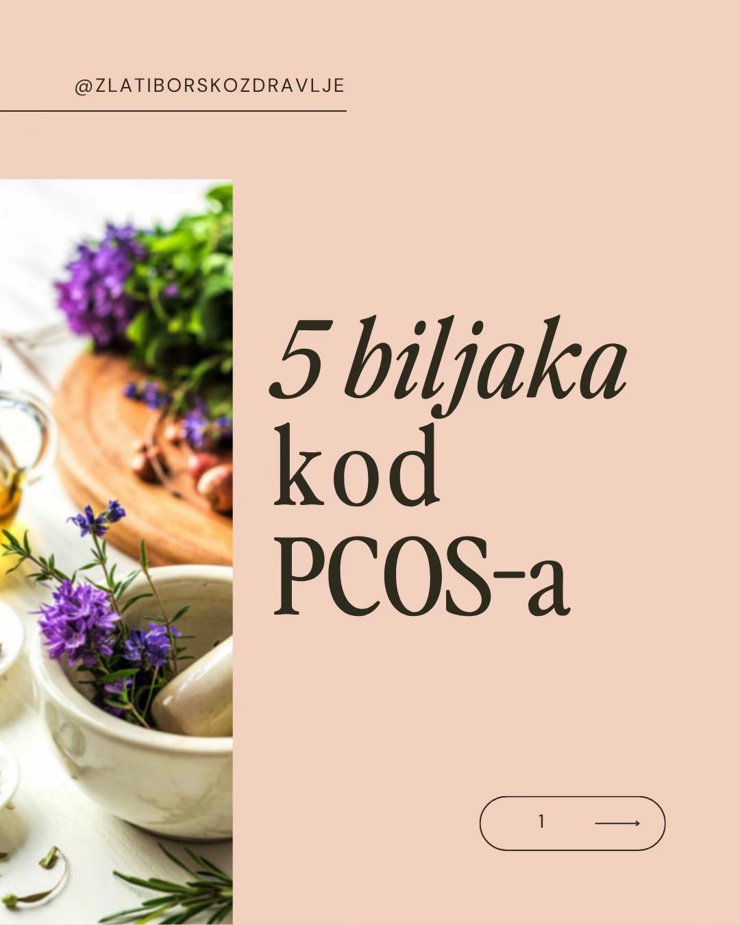 @Sandra🌷Zlatiborsko Zdravlje