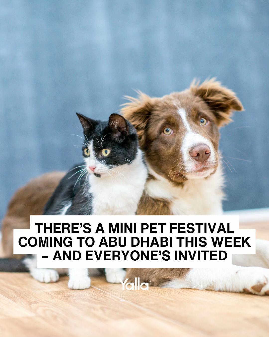 @Yalla Abu Dhabi