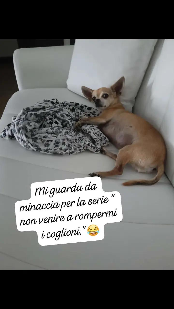 @deborahsharon