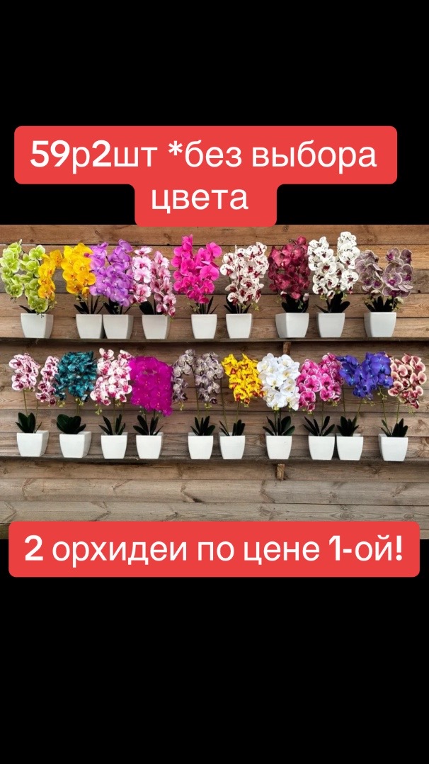 @цветочки_в_горшочках