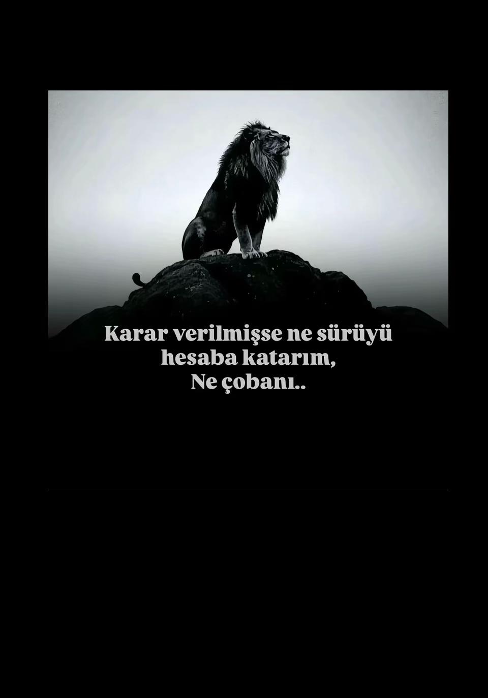 @Murat Çınar