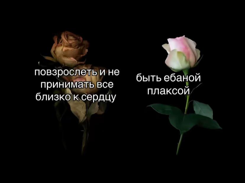 @дашка🇷🇺🇷🇺🇷🇺