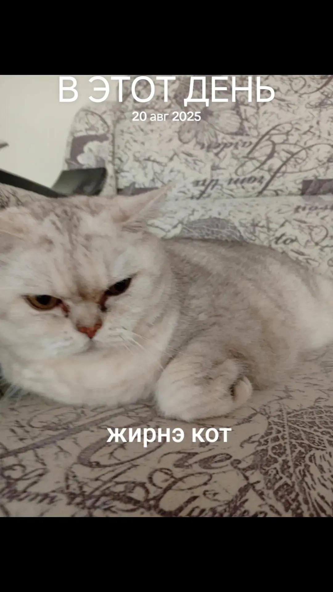 @Великий всепоглотитель