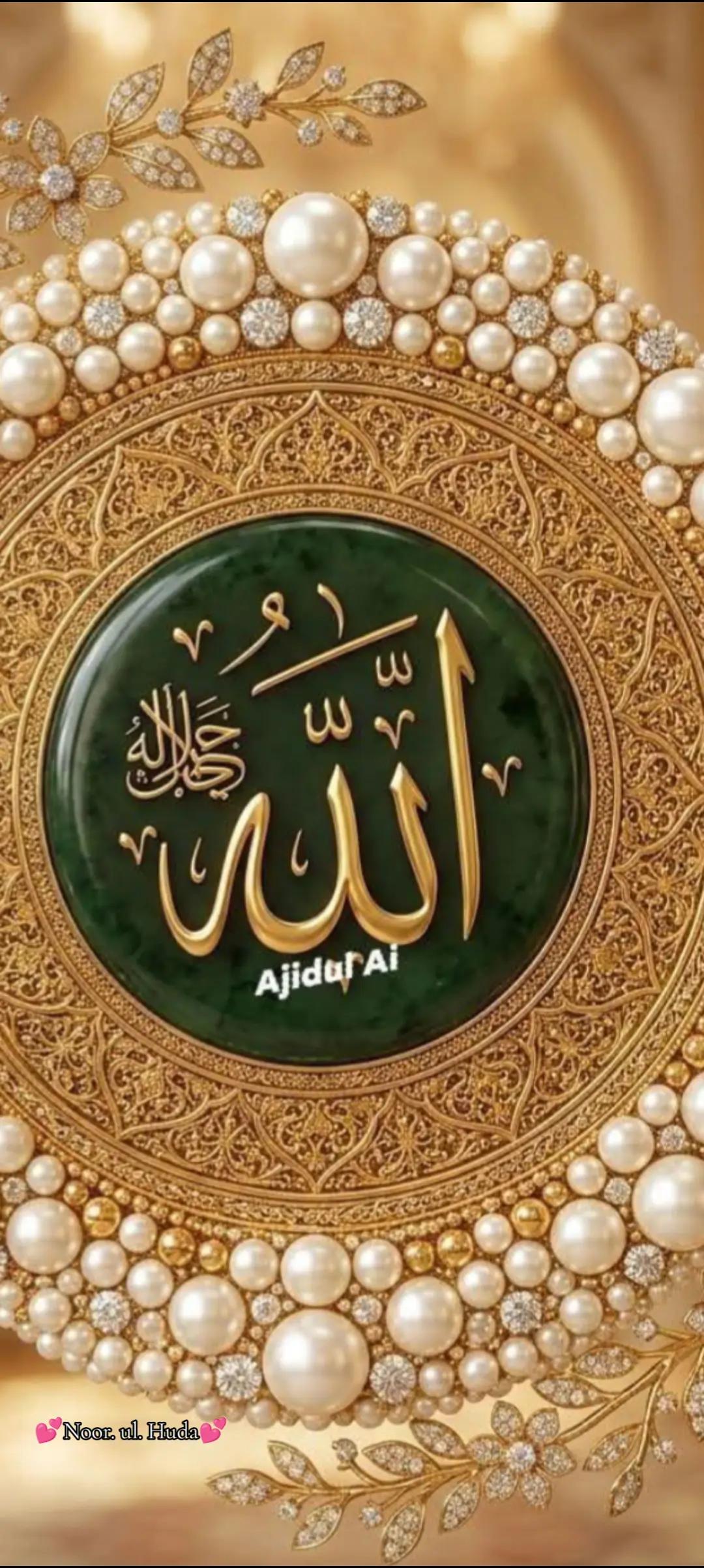 @Bilqees Aslam