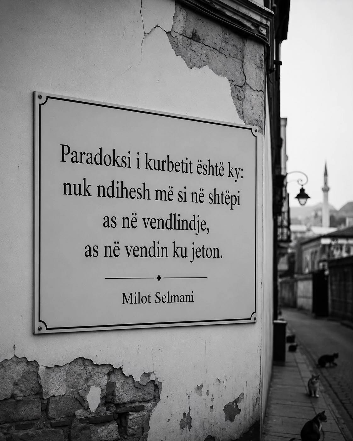 @milotselmani