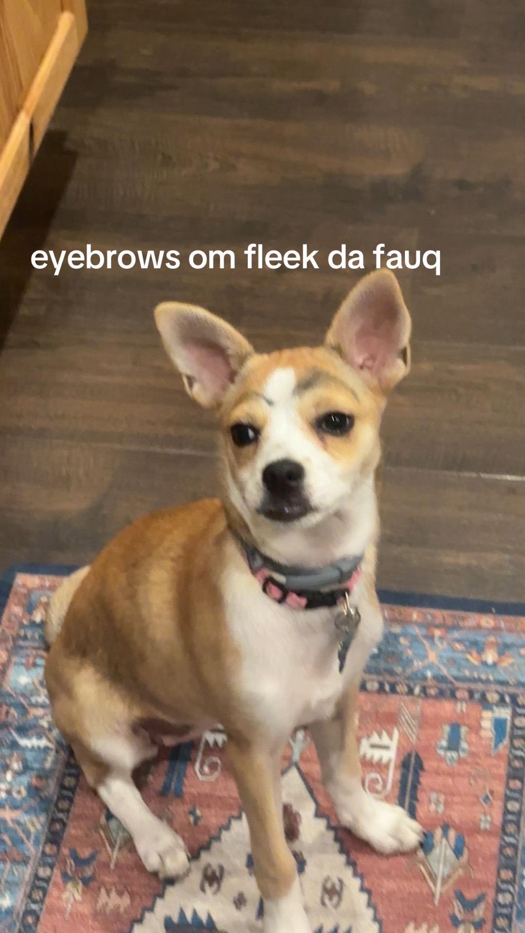 @𓆩jawz𓆪
