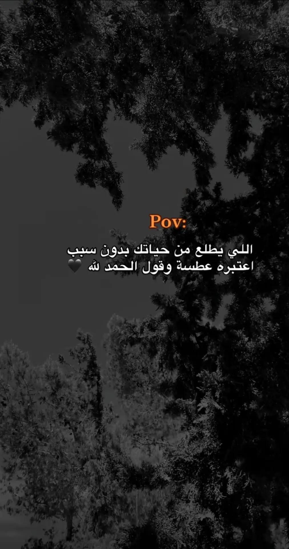 @SOHIB SHORMIT