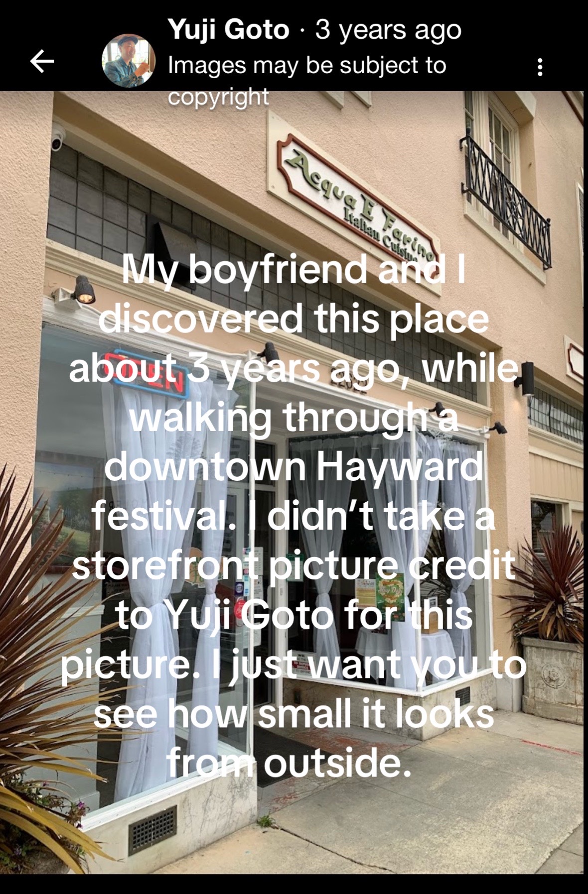 @Michelle Mora