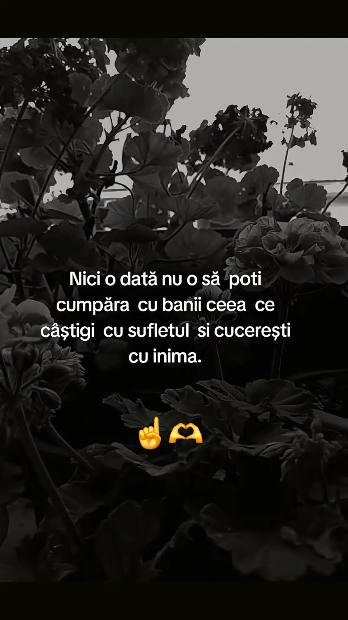 @✨️Gianina Ioniță✨️