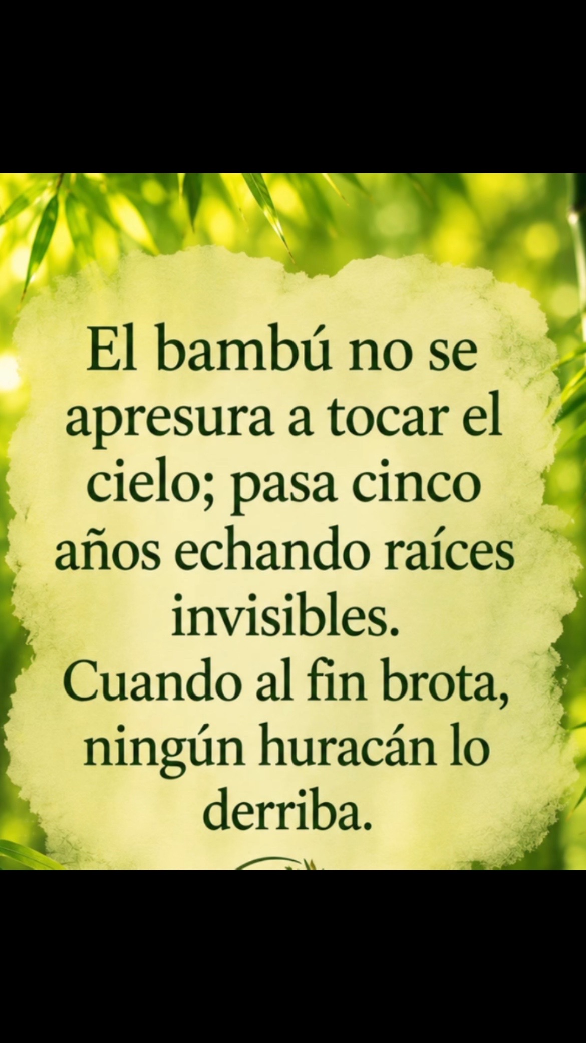 @Pedro Cruz