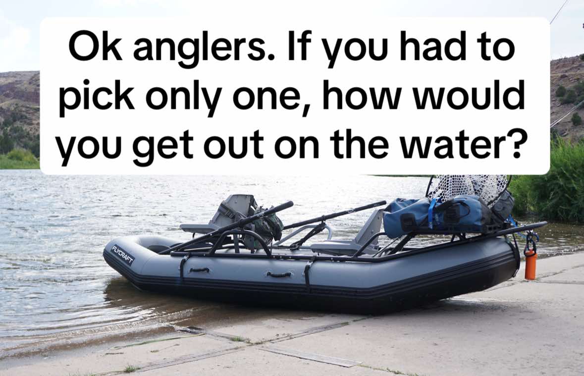 @The Fishly