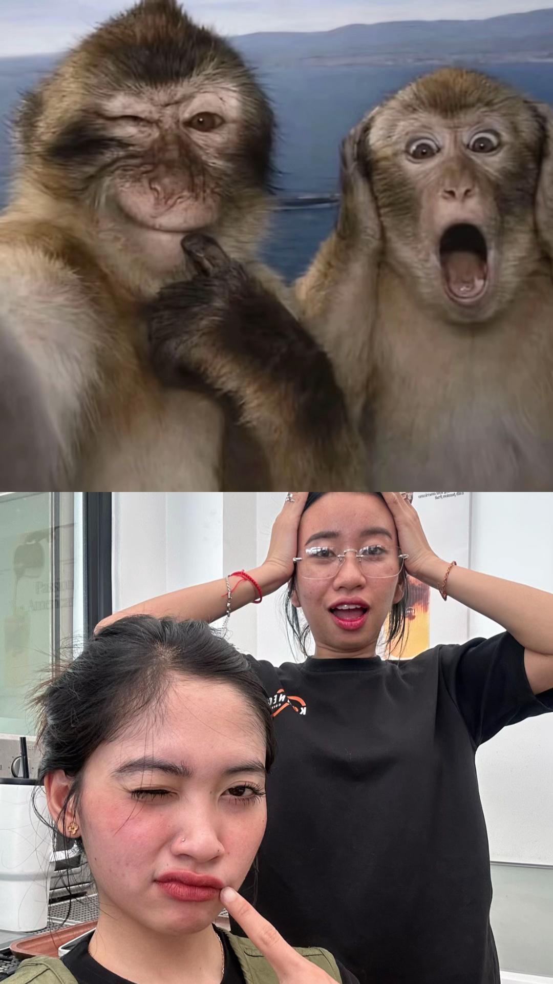 @Ployy