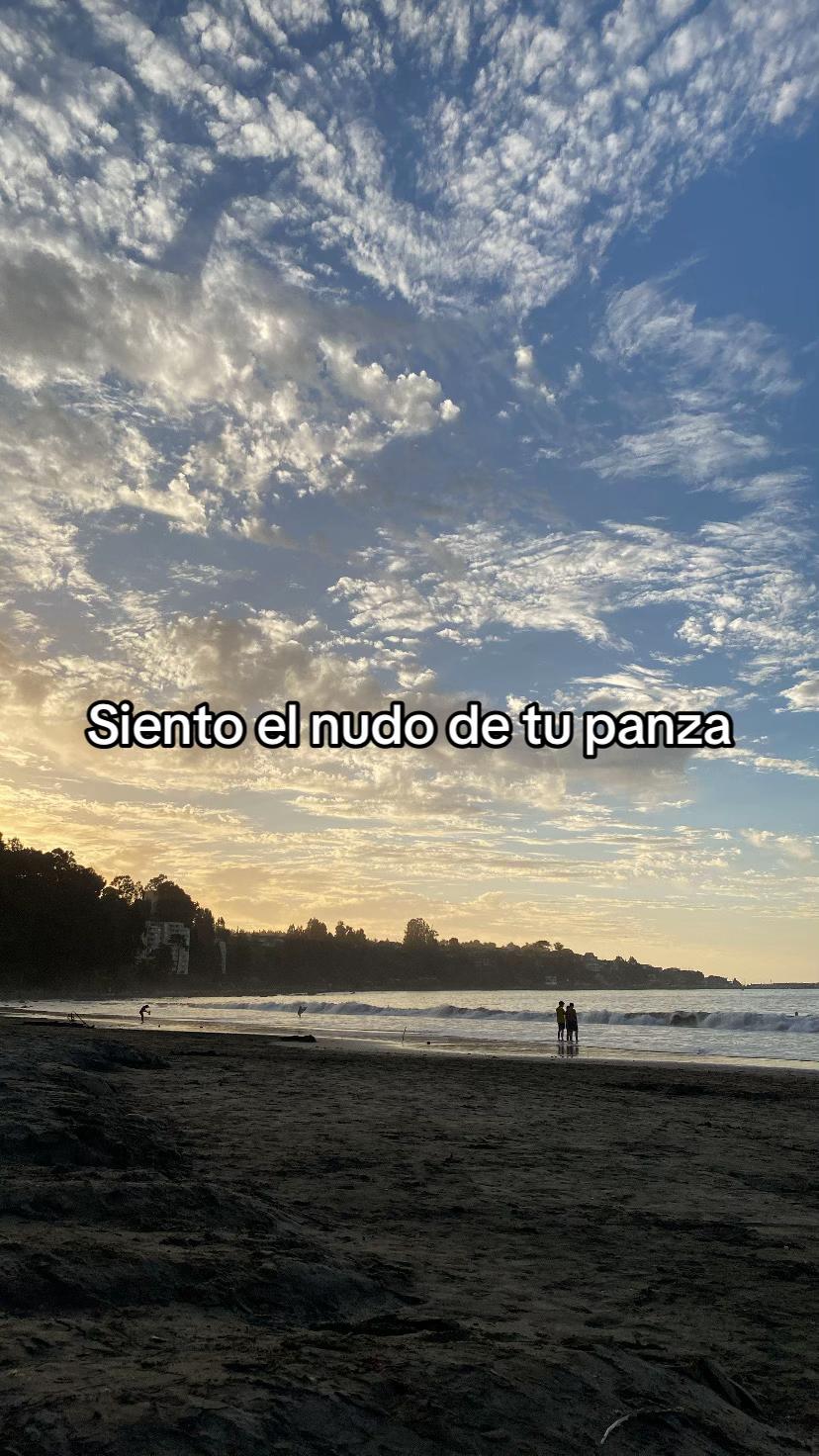 @lafeermiauu