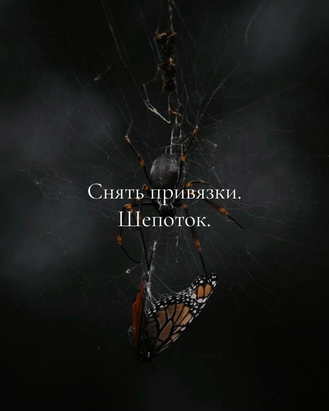 @ᚾ𝐀𝐍𝐀𝐒𝐓𝐀𝐒𝐈𝐘𝐀ᚾ
