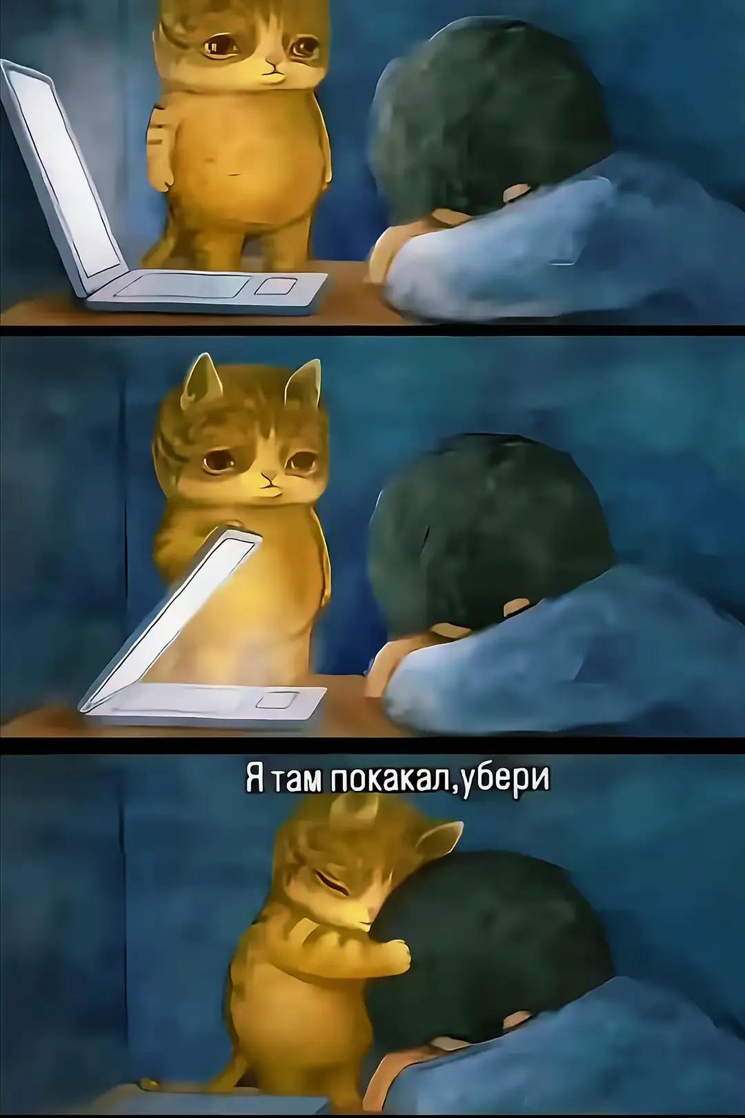 @неляя:3💘