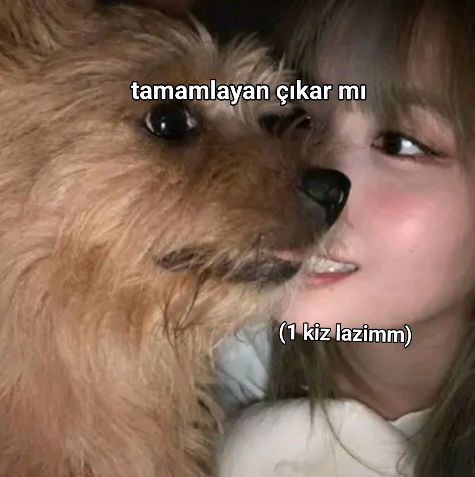 @SADECE SOVY