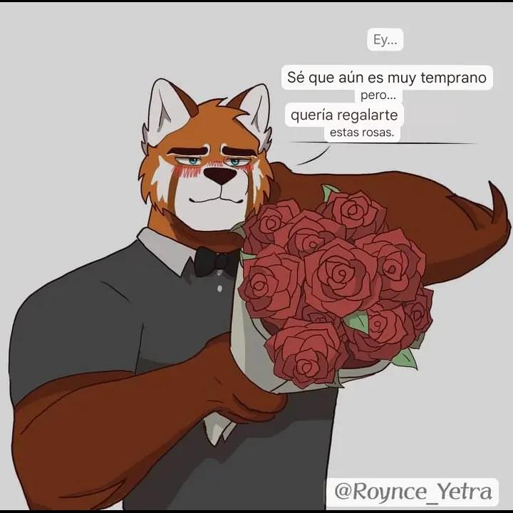@15fuquiro16