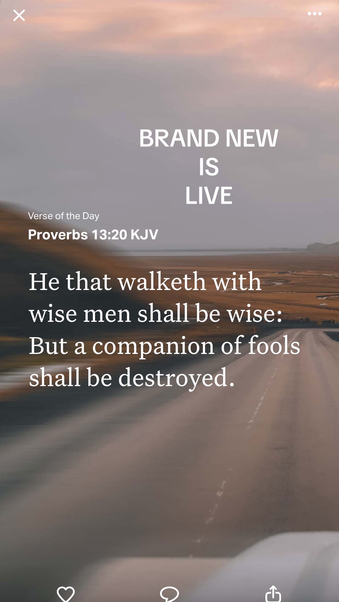 @brandnewme
