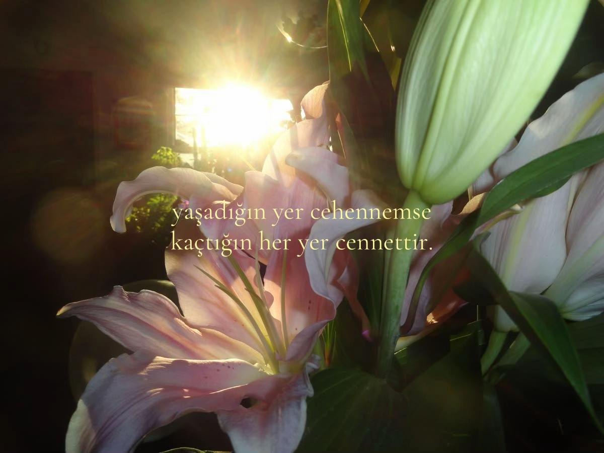 @𝒍𝒊𝒗𝒊𝒏𝒈𝒉𝒂𝒓𝒅